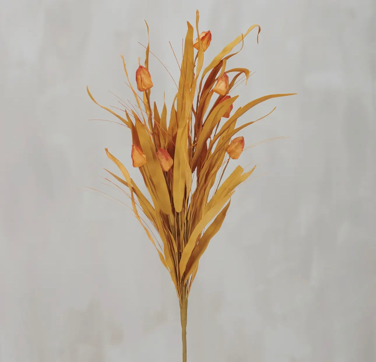 Fall Stems