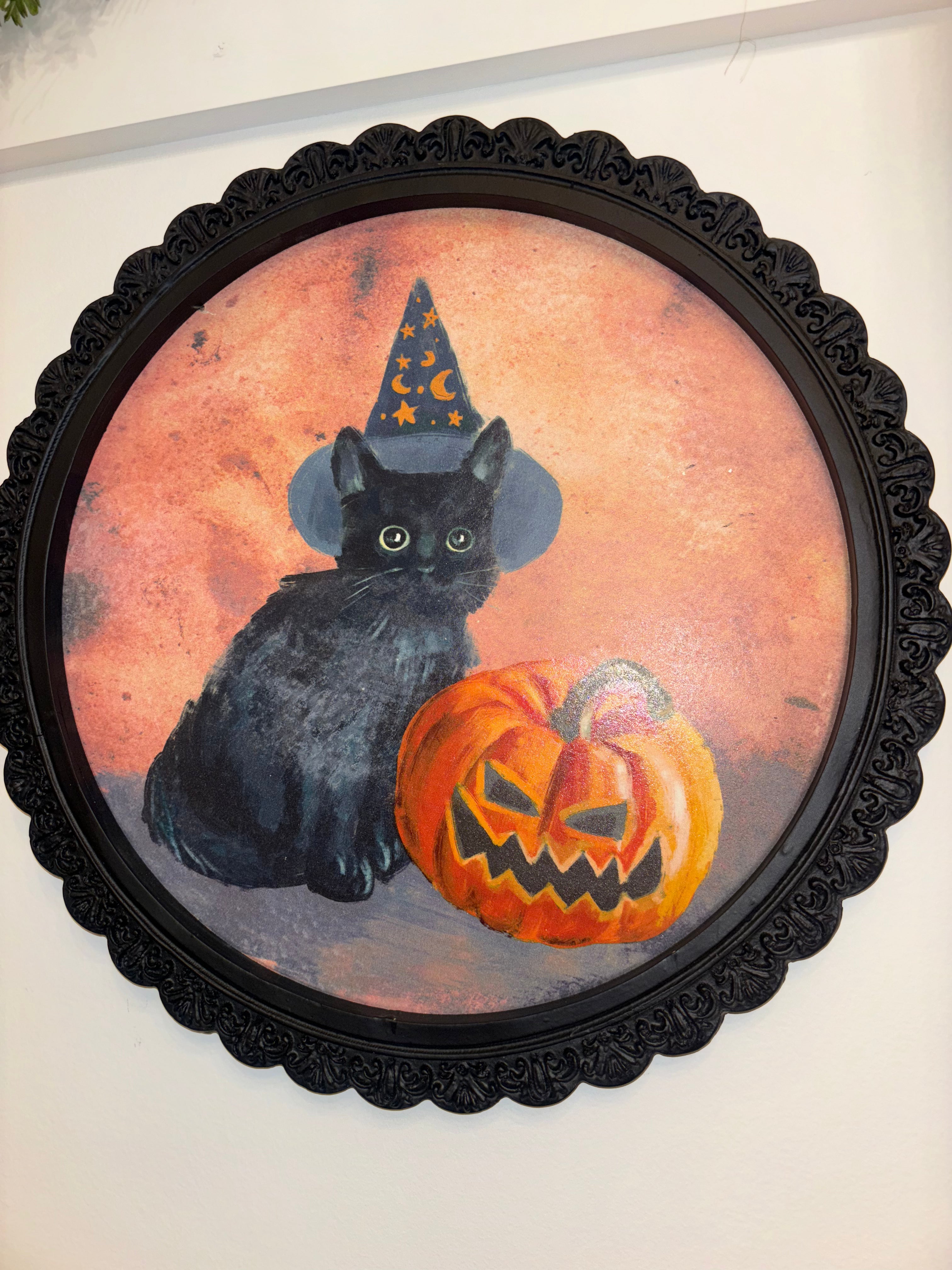 Round Cat Halloween Picture